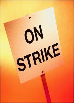 truck drivers strike shipping headline