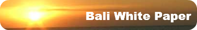                     Bali White Paper